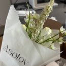 봄향월남쌈샤브샤브&커피 | 작고 소중한 일상으로↩️