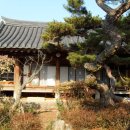 밀양박씨 오충 정려 | 경상남도 문화재자료 제292호 고성청광리박진사고가 (固城淸光里朴進士古家)