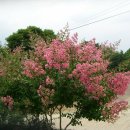 칠봉농장 이미지