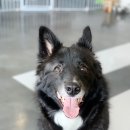 두유 개린이집 이미지