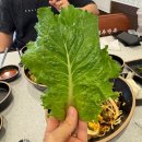 수원광교맛집 제주만족 광교점 ｜마농족발 + 오향족발 후기