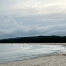 고래불 해수욕장 이미지