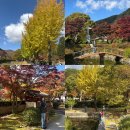 배론성지 | 제천 가을 단풍명소 배론성지 단풍 후기 (2025.11.02)