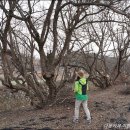 화곡2리 경로당 이미지