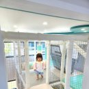 헬로키즈풀빌라 이미지