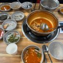 대가생태랑동태랑 이미지