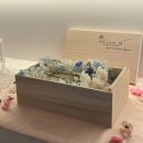 나의 단짝 반려동물 | 순천 반려동물장례식장 푸른솔｜24시간 야간 장례서비스｜애견장례 후기｜주의할 점