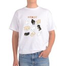 애완강아지 이미지