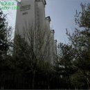 송정동-2 이미지