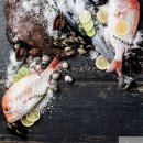 바다한상 이미지