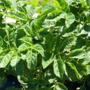 종구농장 이미지