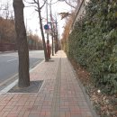 홍릉초교 이미지