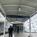 별안간 | 별안간 떠난 후쿠오카 여행 첫째날 후기