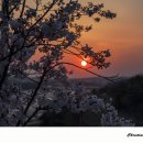 전망좋은곳 이미지