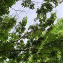 덕태산장 이미지