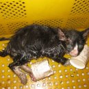 망원역(6) 이미지