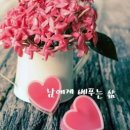 빵집이야기 네이버블로그