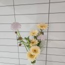 영진스테이2 이미지