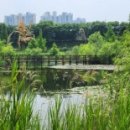 신평로 신장로 이미지