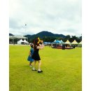 제35회 소백문화제 전시행사 | 2016 괴산 고추축제, 음성 고추축제를 다녀오다.