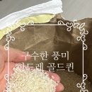 골드퀸 | 내 돈 내산 구수한 풍미가 느껴지는 한드레 골드퀸 후기