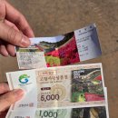 와이마트 정육코너 | 다녀온 후기, 반값여행 정산 가능한 마트, 할인정보...선운회관, 선운사, 설빙, 고창읍성, 와이석정웰마트)