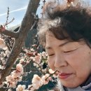 하동농장 이미지