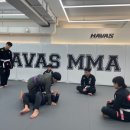 하바스MMA 압구정 이미지