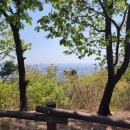 윤가네 칼국수 이미지