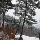 한계령의아침 이미지