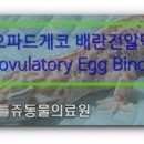 리틀쥬동물의료원 이미지