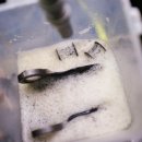 금강정비세차 이미지