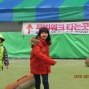 정무합기도 이미지