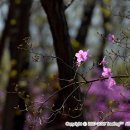 원미산산림욕장 네이버블로그