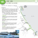 거진활어회센터 이미지