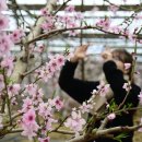 비타민남원