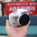 가성비 입문용 카메라 추천, 인스타 감성 사진 뽑는 캐논 EOS 100D 중고카메라 구매 솔직 후기!