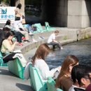 누리,멍's 이미지