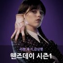 Addams Family. | 웬즈데이 시즌 1 정리 ( 스토리 요약 스포 포함)