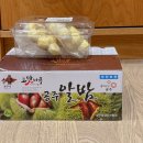 공주밤꽃향기