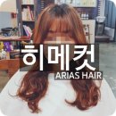 아리아스헤어 이미지