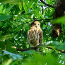 경기둘레길 연천9코스 | 경기둘레길 연천 9코스 임진강변 백학면 들판길(장남교 - 숭의전)