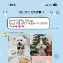 사천견생 이미지