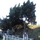 덕신해수욕장 이미지