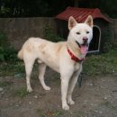 산돌의원 이미지