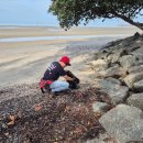 INTI students clean-up at Bagan Lalang Beach 이미지