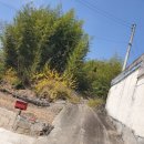 소보면사무소 이미지