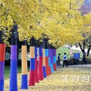 은행나무공원 이미지