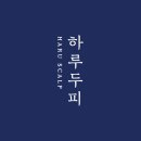 하루두피 둔산점