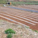 남해-270 이미지